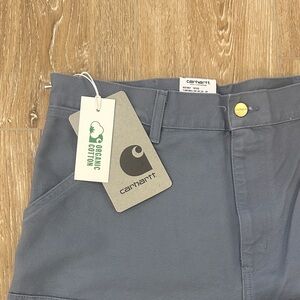 Carhartt Work in Progress Double Knee Pant